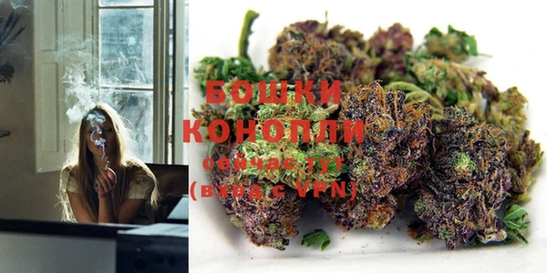 гидропоника Кулебаки