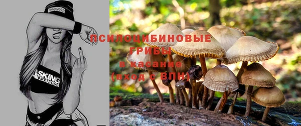 винт Куйбышев