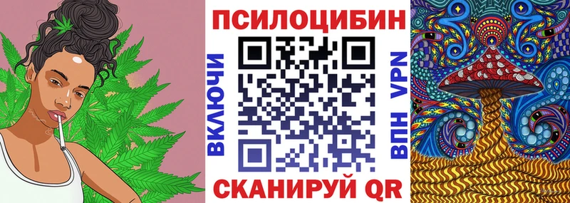 Галлюциногенные грибы мицелий  Купить  Жердевка 