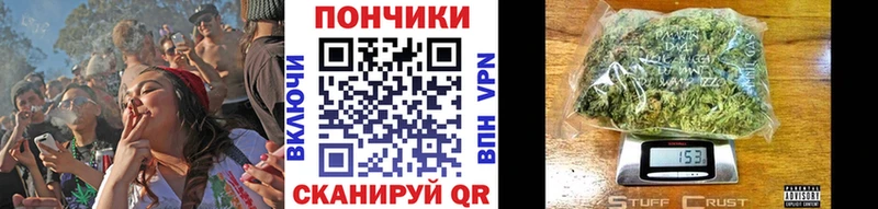 Купить закладки Жердевка Бошки марихуана THC 21%